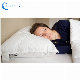 Wholesale 100% Cotton Down Proof Fabric Pillow Polyester Filler for Pillow