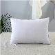  Oeko-Tex100 Box Jacquard Pattern Standard Size Hotel Duck Feather Down Soft Pillow