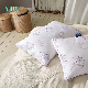  Hot Sale 100% Sateen Cotton Hotel Pillow Case