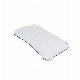 Small Pillow Baby Toddler Pillows Machine Washable Suitable Crib Pillow