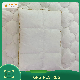  Home Textile Bedding Products 100% Cotton Cover Pillow with Memory Foam Infused