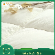  Zhejiang Factory Daily Use Breathable Ventilation Cotton Pillows