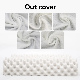  60*38*11/13cm Different Model Factory Sale Durian Massage Pillow