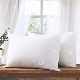  Washable Polyester Microfiber Pillow Synthetic Pillow Sofa Neck Head Travel Pillow Bedding Cheap for Hotel Bed