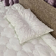  5% off New Design for American Market 230t Cotton Shell Pillow with Shredded Latex Infused