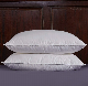  Cheap 0.7D/0.9d/3D/6D/7D Polyester Fiber Pillow