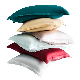  New Design 100% Mulberry Silk Envelope Pillow Case Gift 48*74cm