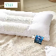  Competitive Price Health Care Buckwheat Hotel Pillow