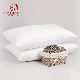  Hot Sale Solid China Supplier Buckwheat Eco-Friendly Pillow
