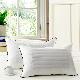  Organic Bedding Cotton Buckwheat Hulls Pillow Single Double Layer Heath Pillow
