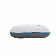  2021 Bamboo Charcoal Memory Foam Pillow with Ice Silk Cooling Feel Cover