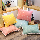 New Style Decorative Stuffed Throw Pillow with Print