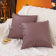  XL-Ny 18*18 Home Decor Velvet Throw Pillow Case Cover for Couch Boho Nova Custom Decorative Crystal Custom Packing Knitted 2PCS