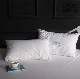 Waterproof Cushion Covers, 100% Tencel, Super Soft and Breathable, Various Size manufacturer