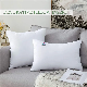  Home Office Decorative Throw Pillow Cushion Insert