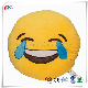 Emoji Pillow Set Plush Emoji Cushion Customized Toys