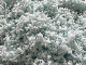  Extra Memory Foam Filling Stuffing for Sofa Cushion Futon