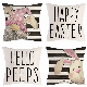  2023 Sublimation Blank Easter Eggs Printed Pillow Cover for Party Ornament