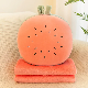Soft Stuffed 3 in 1 Plush Watermelon Kids Pillow with Flannel Blanket
