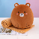  Home Textile 2 in 1 Plush Bear Toy Cushion with Travel Blanket