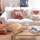  Print 14X20 Inch Rectangle PE Foam 18X18 Pillow Cover