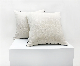 New Arrivals Jacquard Throw Pillow Covers Farmhouse White Cushion Covers for Couch and Bed 18 X 18 Inches manufacturer