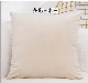 New Promotional Fashion Design Polyester Filling Hotel Decorative Cushions