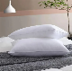 Wholesale Pillow Luxury Down Alternative Microfiber Polyester Cushion Pillows