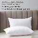  Washable 50*70cm Hypoallergenic Polyester Microfiber Pillow for Hotel Home