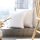  Throw Pillow Inserts, Lightweight Down Alternative Polyester Pillow, Couch Cushion, Sham Stuffer, Machine Washable