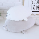 New Design Soft Pillow Custom Plush Stuffed Giant Seal Cushion for Gift