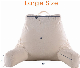  Hot Sale Backrest Reading Pillow with Removable Cover TV Pillow