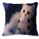  3D Animal Shaped Printed Cat Pillow