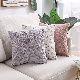 Nordic Double-Sided Feather Foil Plush Pillow Cover Homesofa Cushion Office Cushion Sets Pillow Covers manufacturer