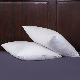 Cheap White Duck Down Cushion Insert