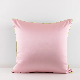  Hotel Decorative Square Guangzhou Throw Pillow Cushion