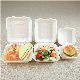  Disposable Biodegradable Compostable Fast Lunch Clamshell Takeaway Surgarcane Bagasse Food Container