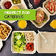 Fine Package Biodegradable Sugarcane Food Container Burger Oval Lunch Box Tableware Clamshell with Lid