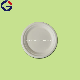  Customize Compostable Sugarcane Bagasse Biodegradable Disposable Plates