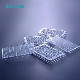  Non-Pyrogenic, Dnase Free, Rnase Free Cell Culture Dish 6 Well/ 12 Well/ 24 Well/ 48 Well/ 96 Well Cell Culture Plate