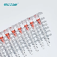  Dnase Rnase Free 8 Strip PCR Tube Plastic Sterile PCR Test Tube