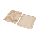 Plates Tableware Sugarcane Disposable Plate Sugarcane Bagasse Box Food Container