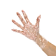 Biodegradable Eco Friendly Cleaning Food Grade Factory Wholesale Disposable PE Gloves