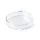  Siny Disposable 90X15mm 60mm 70mm 80mm Petri Dish Plastic Sterile