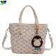 Wide Silver New Design Sac a Main Femm Sac Nouvelle Collection 2023