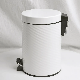 Household Plastic Stainless Steel Products Waste Container Hotel Garbage Storage Senor Plastic Dustbin Auto Trash Bin Can manufacturer