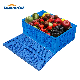 Plastic Vented Storage Vegetable and Fruit Crate for Sale