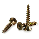  Wall Plate Nail Flat Head Self Tapping Screws