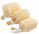 Eco-Friendly Natural Exfoliating Real Shower Loofah Sponge for Cleanr Brush manufacturer