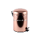 Copper Planting Stainless Steel Pedal Bin Dust Bin Hotel Waste Bin